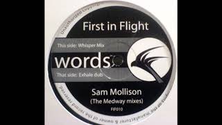 Sam Mollison - Words (Whisper Mix)