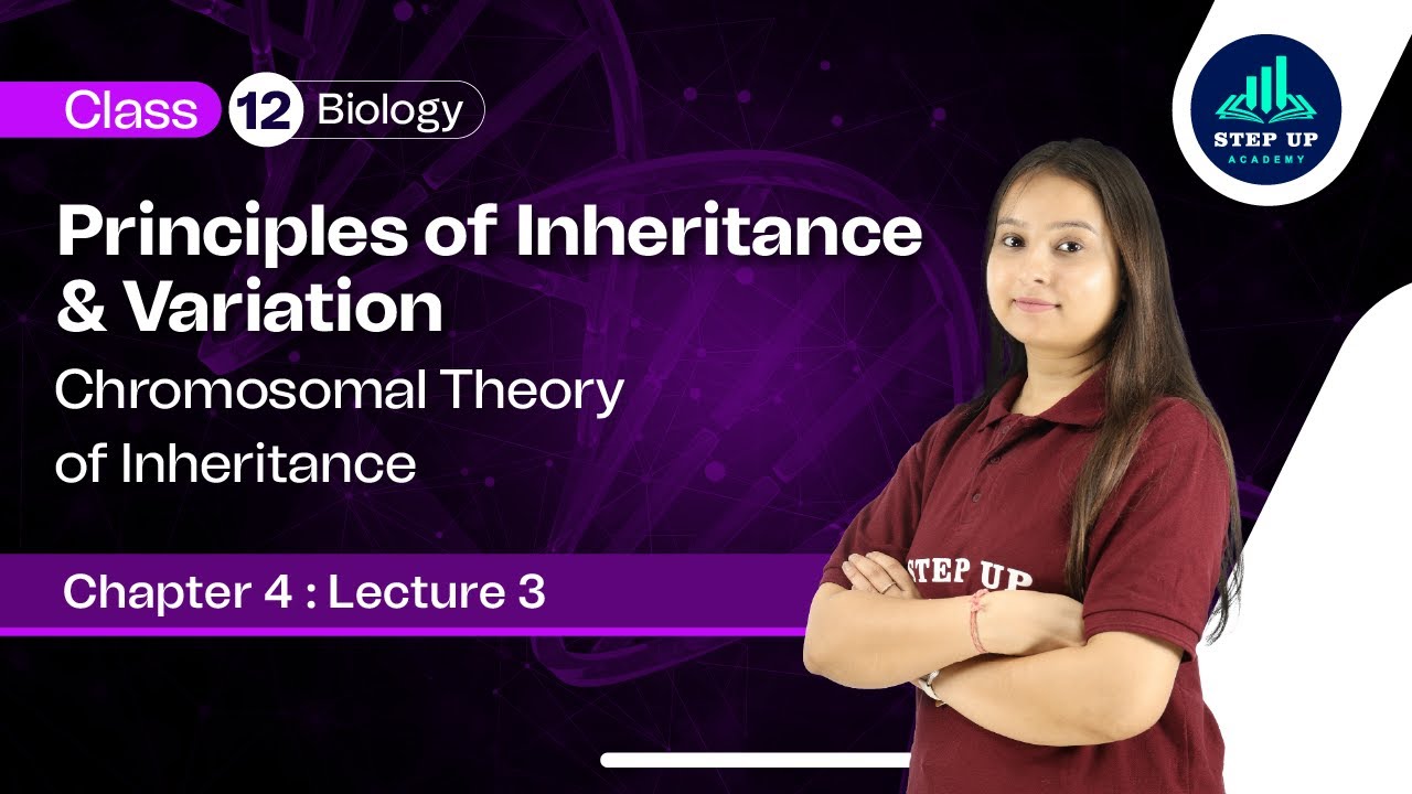 Chromosomal Theory of Inheritance- Principles of Inheritance & Variation | Ch4(L3) |Class 12 Biology