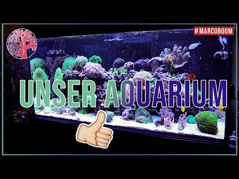 UNSER AQUARIUM | Red Sea Reefer XL 425 | #MarcoBoom