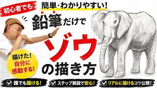 【鉛筆画】ゾウの描き方!初心者でも描けるコツを徹底解説