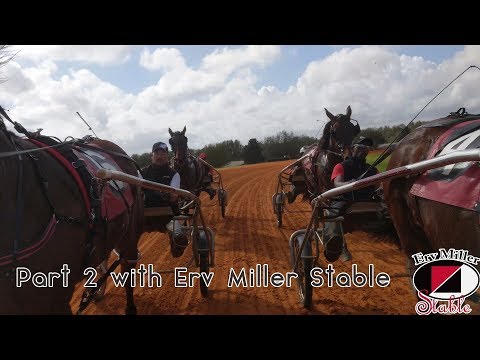 TrotCast Erv Miller Stable Part 2: 2 Year Olds In Training