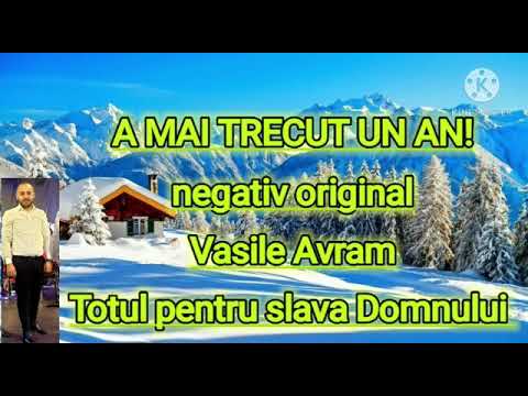 Negativ A MAI TRECUT UN AN (Vasile Avram)