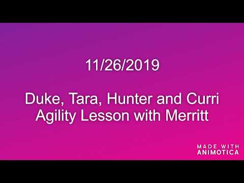 Agility Lesson at Level Up with Merritt (11/26/19) - Duke, Tara, Eva, Curri, and Hunter