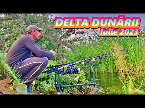 PESCUIT LA CRAP PE UN LAC ÎN DELTA DUNĂRII