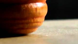 Sigma 70-300mm Macro Lens 10x Zoom || Test Shot Four || Shape Photography