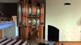 Jesus Fount of Consolation - Jacob Young