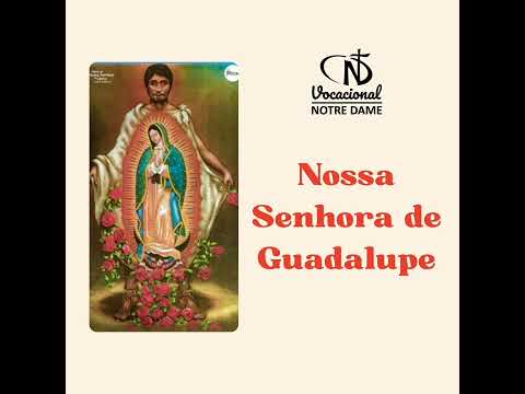 Senhora De Guadalupe - Cris Soares