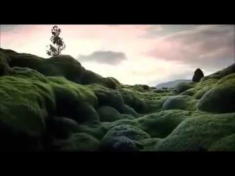 T'atreveixes a somniar? - MAUX - Juliol 2013