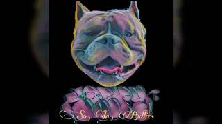 Sleepy Southern Indiana Bullies. Music by Boogie - deja vu