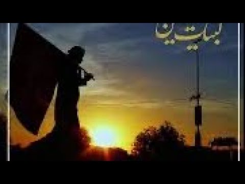 ⁣زيارة الأربعين بنظرة عرفانية | السيد عادل العلوي