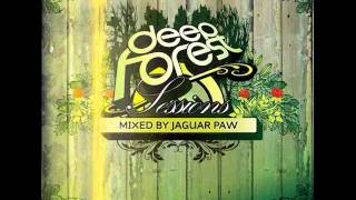 Garth & G Rel - Inhliziyo'Yam (DeepForest Sessions mixed by Jaguar Paw)
