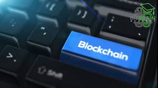 BitBrain - The Innovation & Blockchain Academy