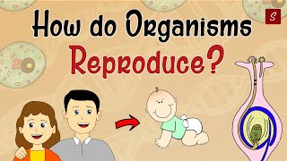 How Do Organism Reproduce Class 10 Full Chapter (Animation) | Class 10 Science Chapter 8 | CBSE