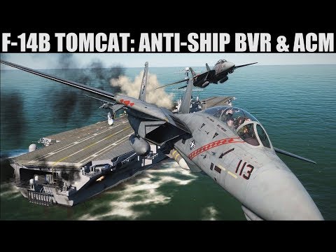 F-14B Tomcat: Anti-Ship Radar & Missiles Tutorial | DCS WORLD