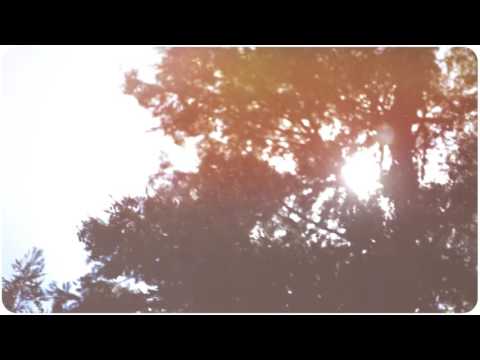 Lot # 14 Eagle Drive, Lincolnton NC 28092