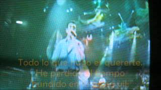 el ultimo de la fila &quot;hierbas de asía&quot; (letra)