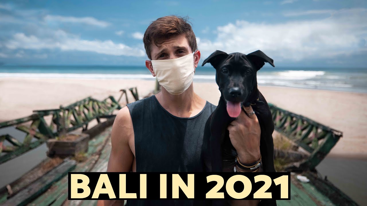 BALI in 2021. the harsh reality