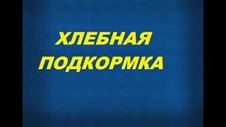 Удобрение из черного хлеба для помидор