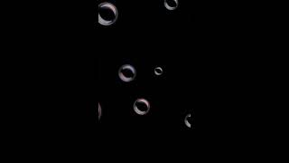 I Will Still Love You (Cover*Th)