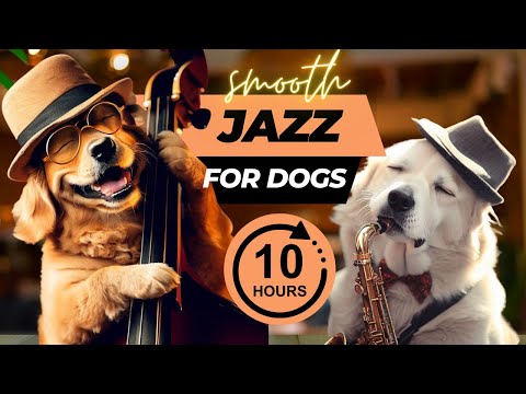 Relaxing Jazz Music for Dogs and Puppies (10 Hours)