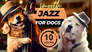 Download lagu Relaxing Jazz Music for Dogs and Puppies (10 Hours) mp3