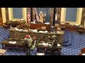 The Storming Of The Capitol