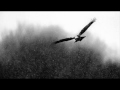 Eberhard Weber ~ Bird Out Of Cage