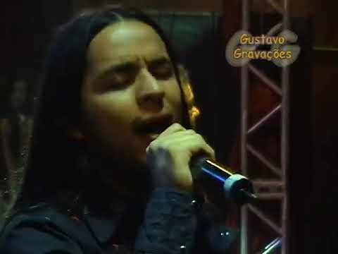 Morrer de amor - Gatinha manhosa em Fátima  BA