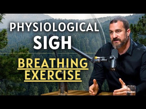 [RELIEVE STRESS!] Andrew Huberman's Ultimate Breath Exercise for Stress Relief (3 Rounds Guided)