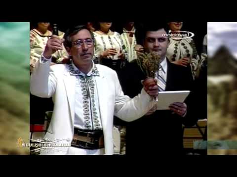 Emisiunea "În culisele neamului" cu Ion Dascal