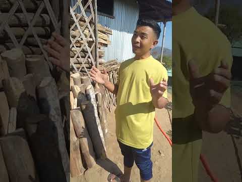 Aggiornamento sulla vita del villaggio