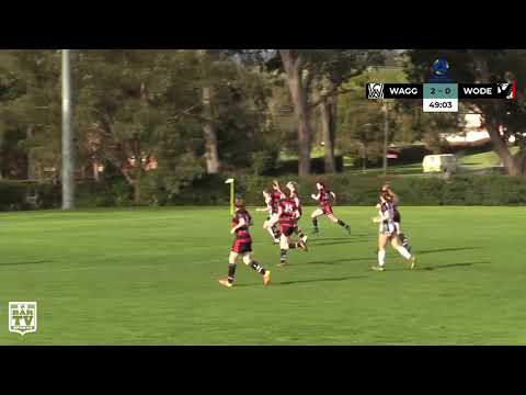 2020 NPLW Round 9: Wagga City Wanderers vs Woden Weston highlights