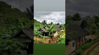 Download lagu gubuk bambu mp3