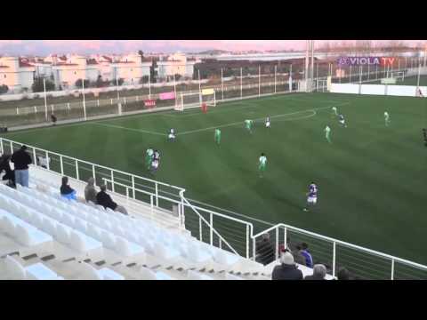 FK Austria Wien vs. SV Werder Bremen 2:2 - Tore