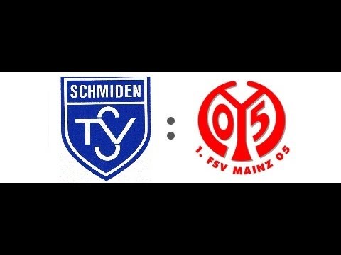 FSV Mainz 05 U9 vs. TSV Schmiden U9, FINALE Turnier in Aichwald 2014