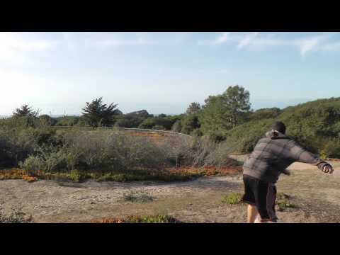 Crazy fence shot