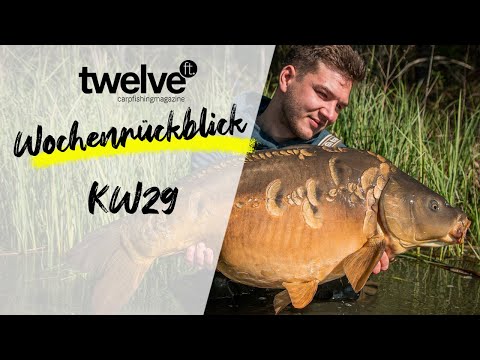 12ft Mag Wochenrückblick KW29 | BBQ am See | Neue Sportex Rute | Christian Wolf | Kampf gegen Mücken