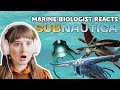Marine Biologist Reacts To Subnautica Leviathans And Other Creatures