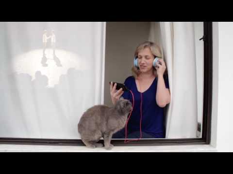 BONS SONS'17 - Apresentação Lander & Jonas