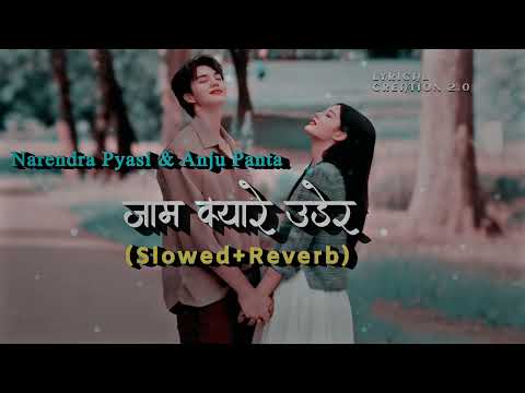 Jaam Kyare Udera Slowed Reverb Lofi Song Narendra Pyasi & Anju Panta Latest Nepali Song