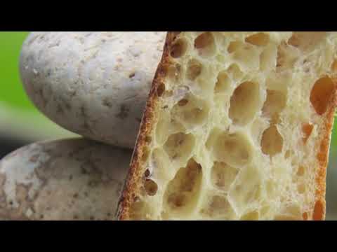 download lagu mp3 mp4 Sourdough Autolyse, download lagu Sourdough Autolyse gratis, unduh video klip Sourdough Autolyse