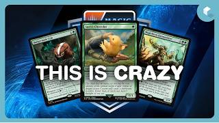 What is Happening to Pro Magic?