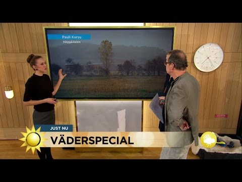 Nu kommer gråvädret - Nyhetsmorgon (TV4)
