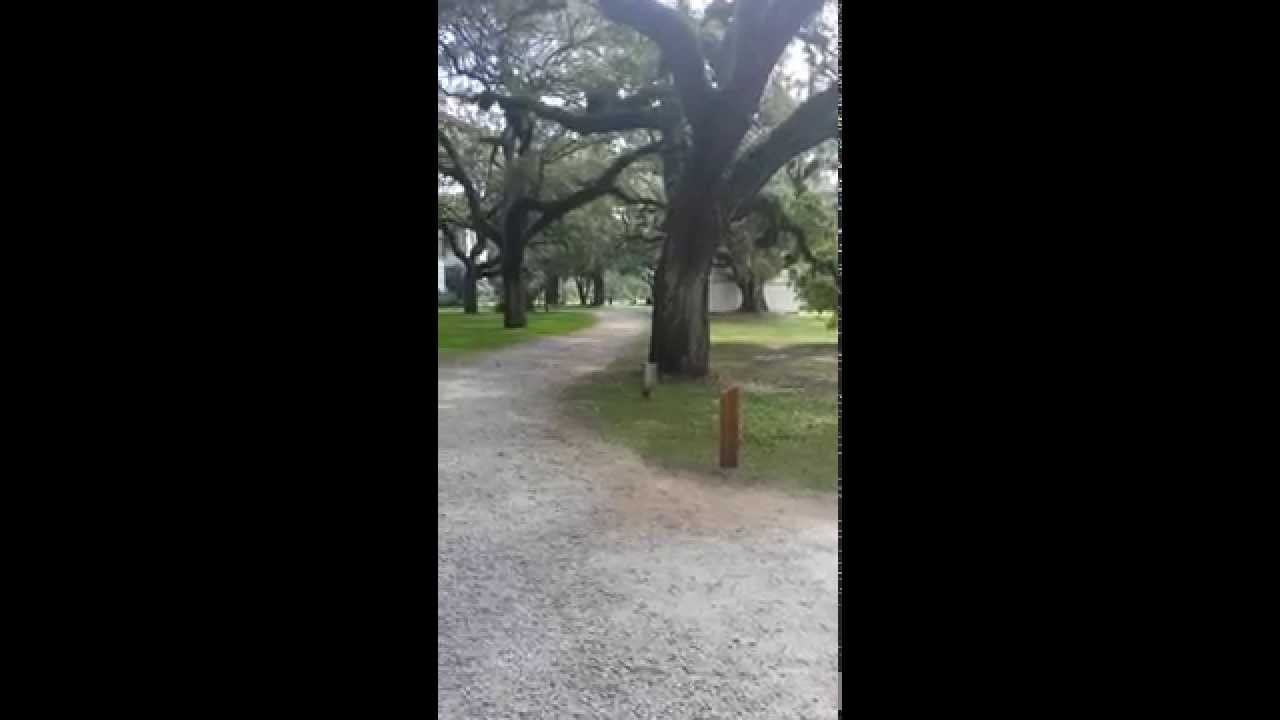 Why were plantations built in the south? Tipseri