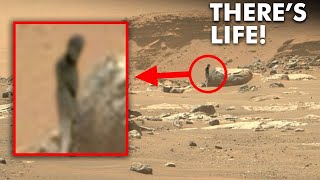 Perseverance Rover Sent Latest SHOCKING Images of Martian Life