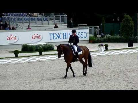 CHIO Aachen 2011 - Grand Prix Special - Richard Davison