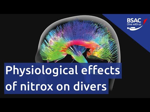 Physiological effects of nitrox on divers | Webinar