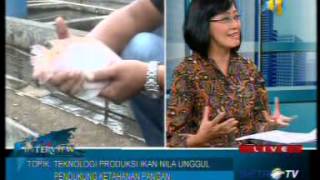 Download lagu Dialog Metro TV : Teknologi Produksi Ikan Nila Unggul dalam Mendukung Ketahanan Pangan mp3