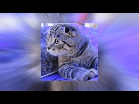 *Free for profit* Hyperpop x Sqwore x  LXNER x woee33 x type beat - "luv"(Prod. Anonimoch x lender)