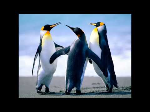 Thumbnail for Craving video